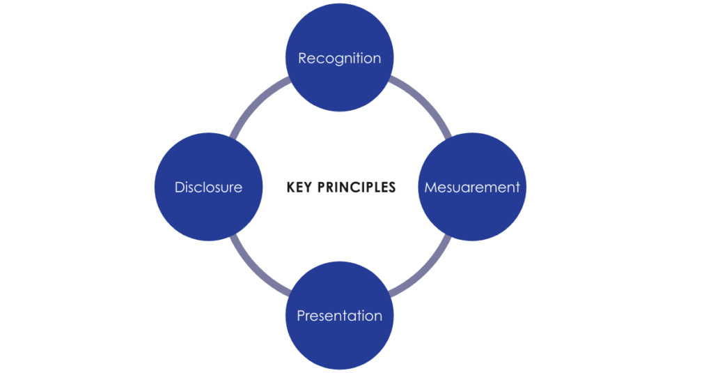 4 key principles with regards to the scope of the standard within insurance contracts